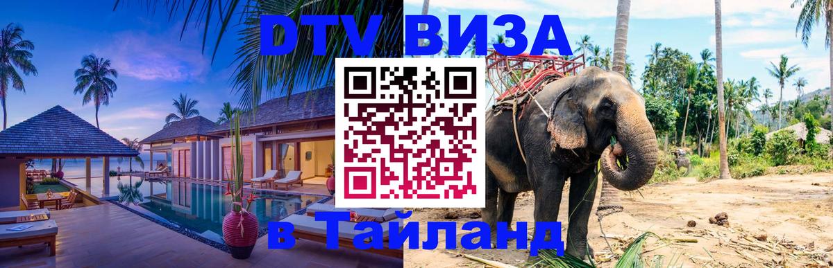Сколько стоит DTV виза — актуальные цены, оформление даже без документов - 19.11.2025 